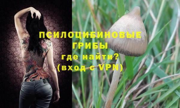 мескалин Надым