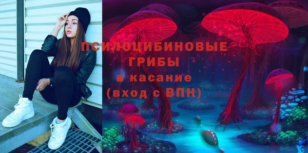 шишки Навашино